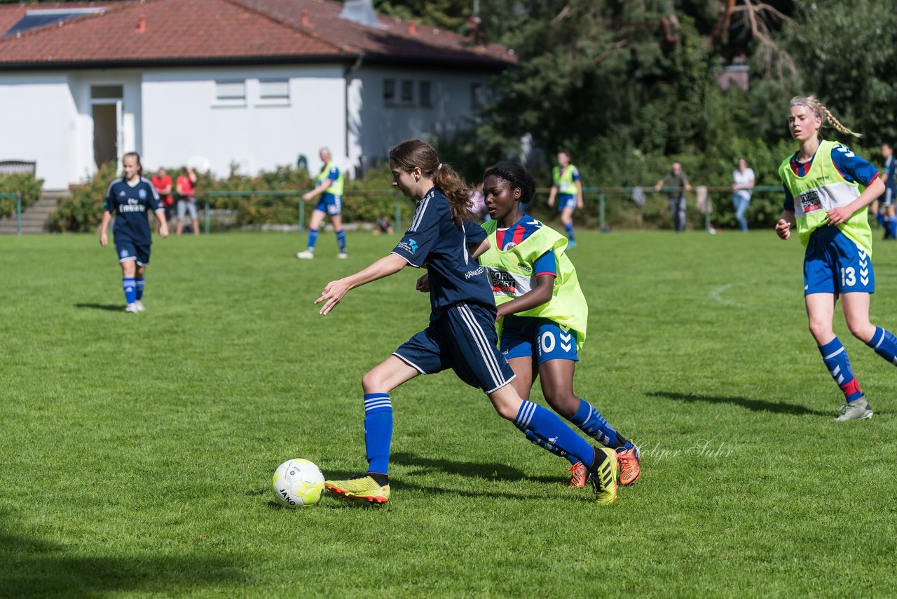 Bild 153 - B-Juniorinnen VfL Pinneberg - HSV : Ergebnis: 1:4